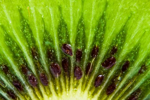 Macro photo of a fresh kiwi