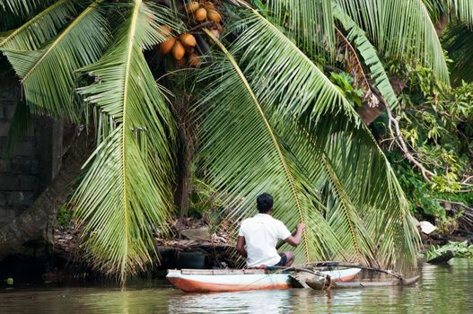 Bentota, Sri Lanka - December 12, 2011: Sri Lankian fisherman in a traditional boat on a river with  jungle on the bank