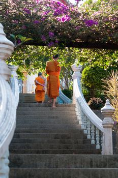 Phuket, Thailand - January 06, 2012: Two Buddhist monks on monastery stairs surrounded by flowers and trees. The monastery is in Wat Sapum Thammaram.