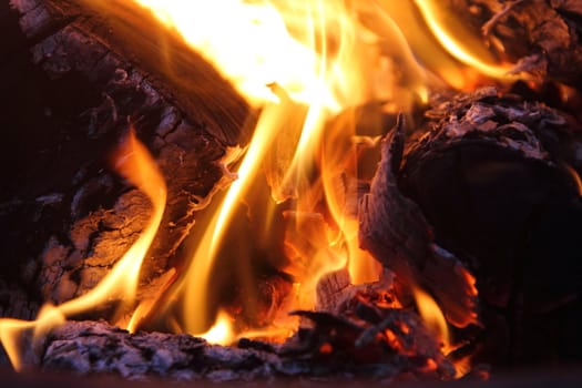 Bonfire