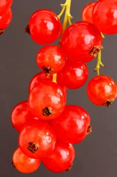 Redcurrants