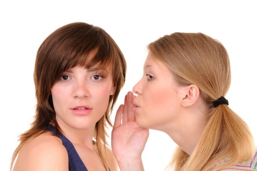 Two young womans are talking with each other on white background