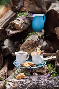 Picnic setting with coffee and cookies on some old wooden logs