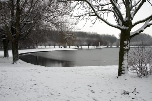 dutch landscape in the snow