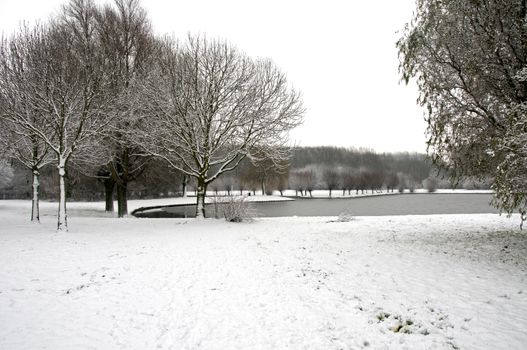 dutch landscape in the snow