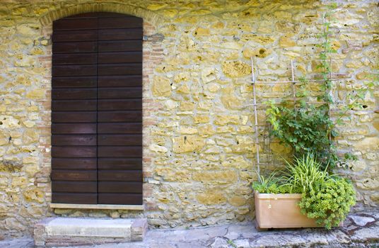 old tuscan wall with doors and flowers