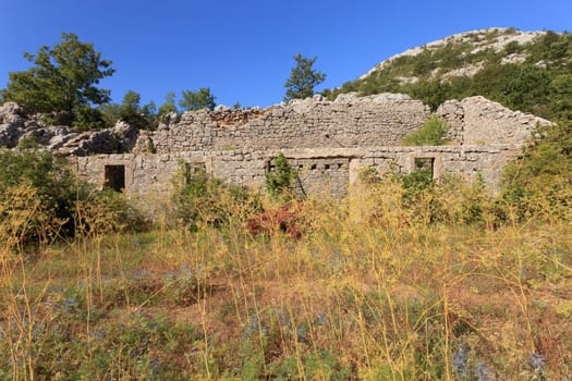 Old stone ruin overgrown with flowers and grass