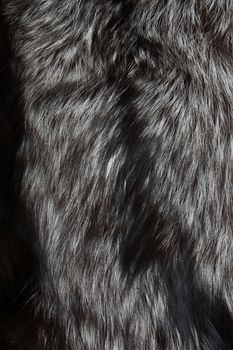 Closeup of natural silver fox fur. Nice background 