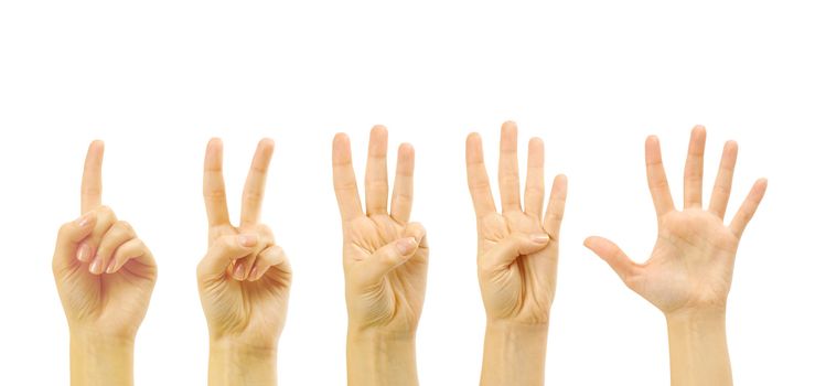 Counting woman hands (0 to 5) isolated on white background