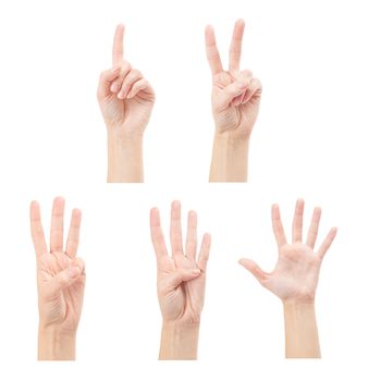 Counting woman hands (1 to 5) isolated on white background