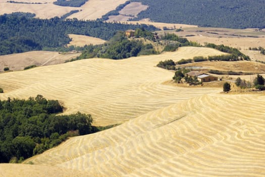 view of typical Tuscany landscape in summer, Italy