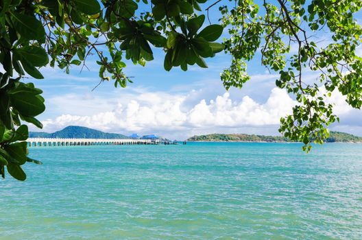 Andaman sea islands and moorage through leaves of tropical trees