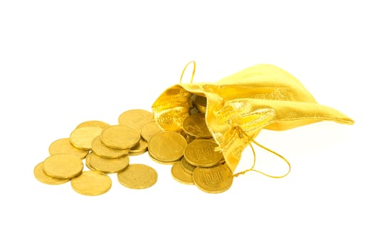 Money coins in golden bag isolated on white