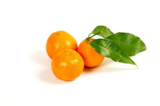 Tangerines with green leaves isolated on white