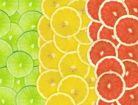 Abstract background of citrus slices. Closeup. Studio photography.