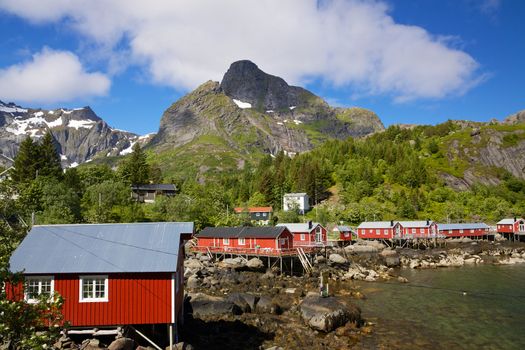 Typical red rorbu fishing huts with sod roof on Lofoten islands in Norway