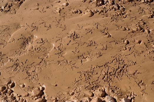 Birds footprints in brown mud 