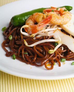 noodles. stir-fried noodles with chicken