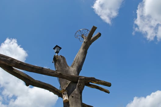 Park gate tree trunk branch on blue sky. Bird nesting-box and old bicycle wheel for stork nest.