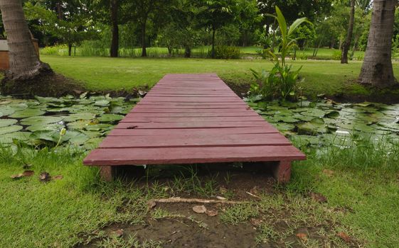 The folding pathway of a park in Samut songkhram.