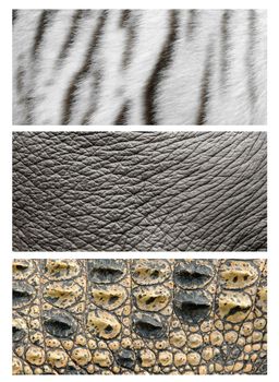 3 style animal skin