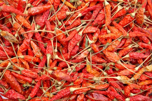 dried chili