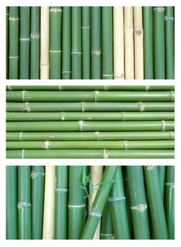 3 style of bamboo