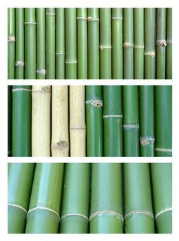 3 style of bamboo