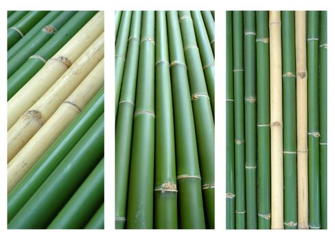 3 style of bamboo