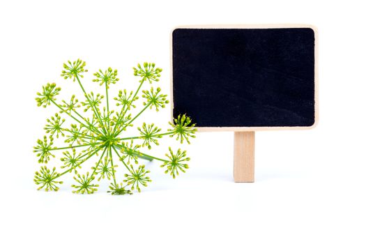 dill with letter plate, on a white background