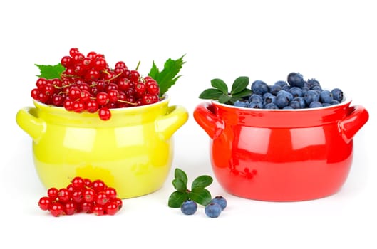 delicious red currant and blueberry, isolated on white background