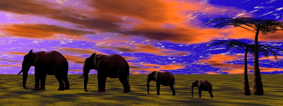 elephants and sky orange