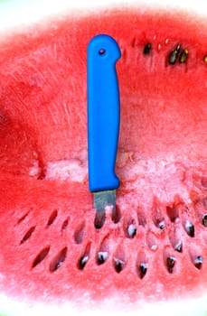 fresh watermelon