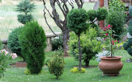 Outdoor flower pots for small garden