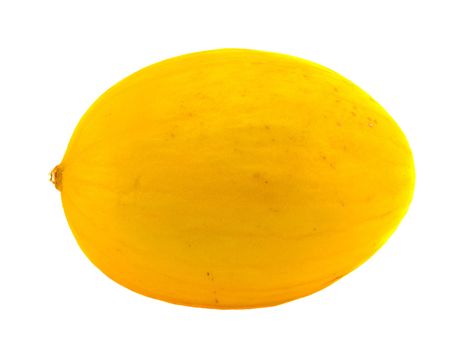 Yellow fresh melon isolated on white background. Healthy ecologic nutrition.