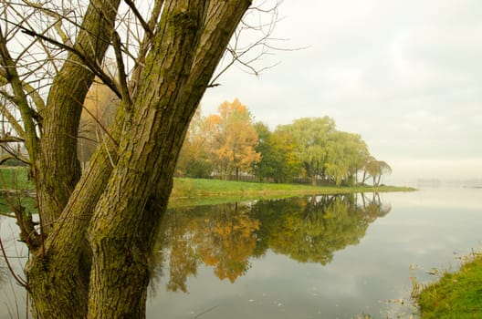 Early morning mystical river lake and tree fragment drown in fog.