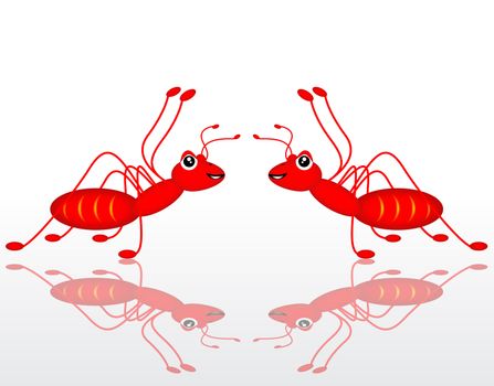 dual red ant on white background
