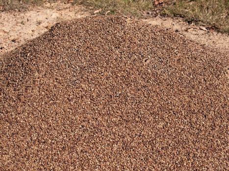 Small granite stone pebble mound ants nest
