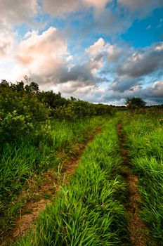 Rural grass way tracks at sunrise with beautiful cloudscape
