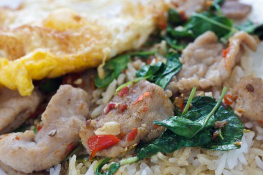 Close up of Pork fried rice with basil, Thai food is delicious.