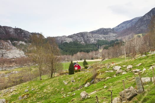 intact landscape with grassland an trees. Mountains in the background. Norway, Europe.
