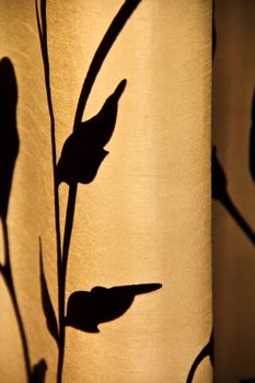 Gold curtains patterned with black flowers