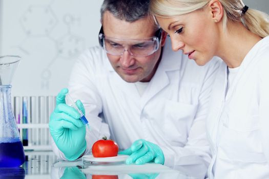 manand woman try to change tomato DNA