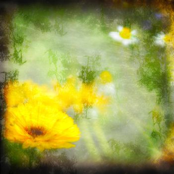textured grunge background daisy with copy space