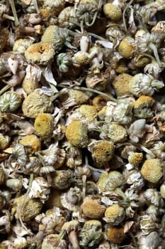 dried chamomile flowers