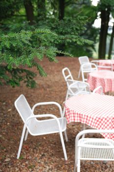 Few empty tables and chairs under wet fir tree in forest