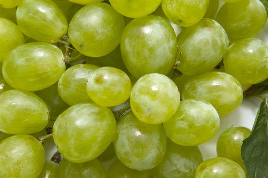 Grapes on a platter at the restaurant on a white background