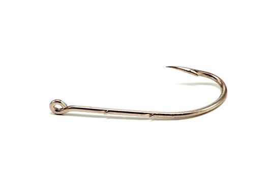 arponcillos fishing hook to insert worms and maggots on white background
