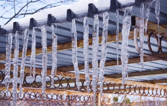 The icicles which are hanging down from a roof