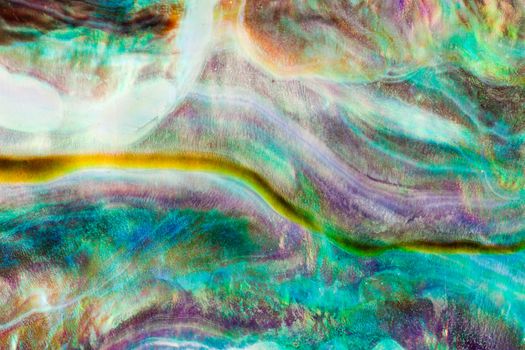 Iridescent nacre mother-of-pearl inner side of Paua, Perlemoen or Abalone shell macro background texture pattern